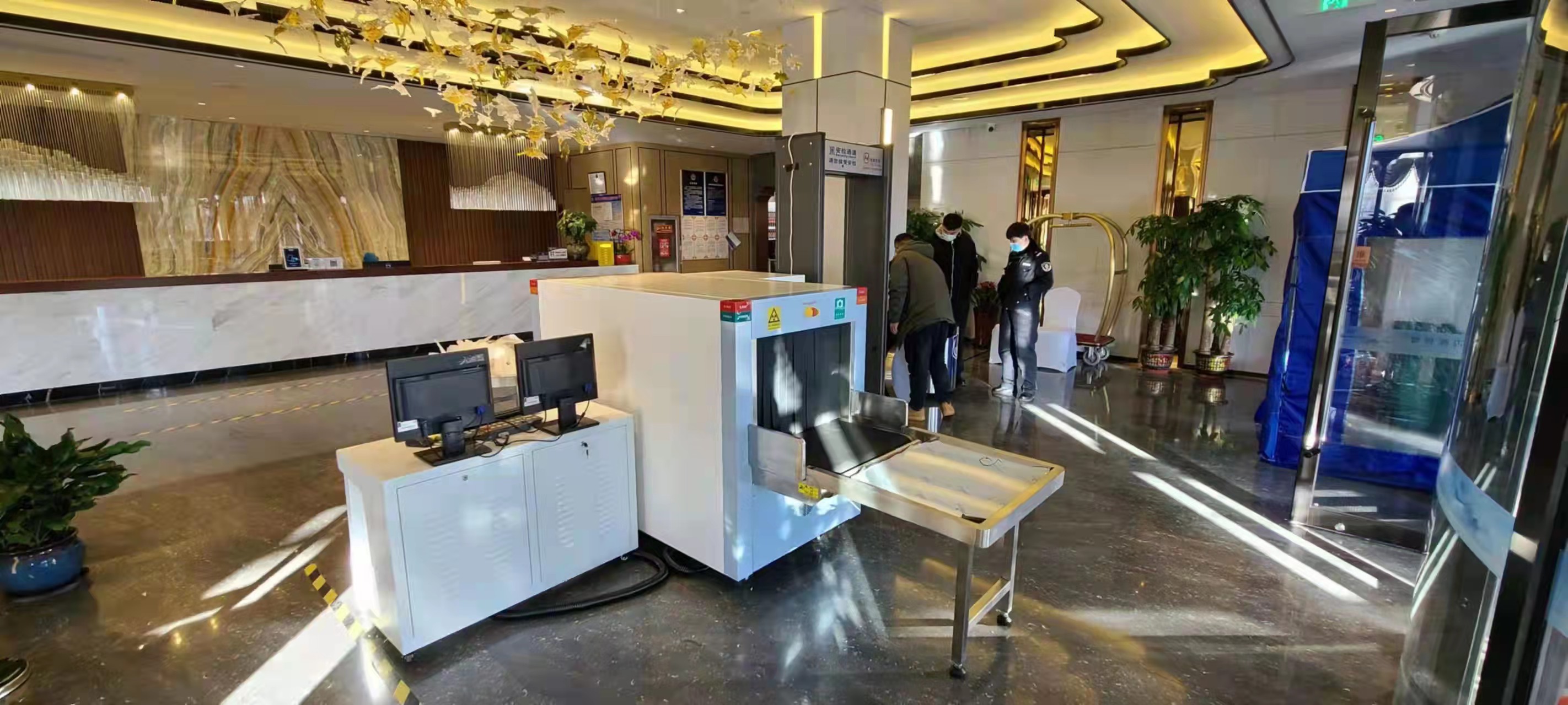 伝信イラスト_20220308143412